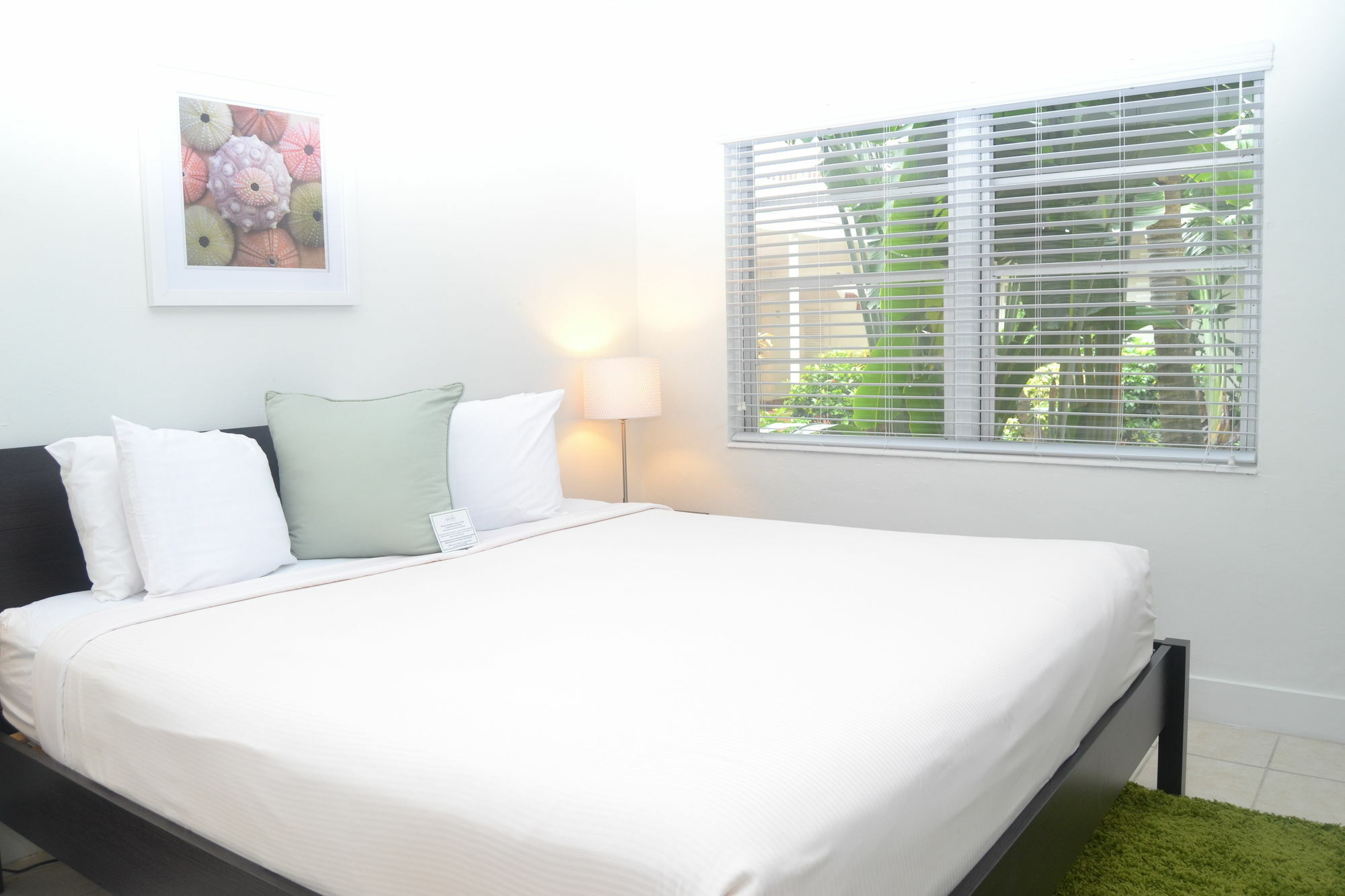 Solas A North Beach Village Resort Hotel Fort Lauderdale Eksteriør billede